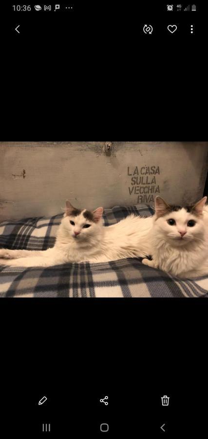 Apartament La Casa Sulla Vecchia Riva Ferrara Zewnętrze zdjęcie